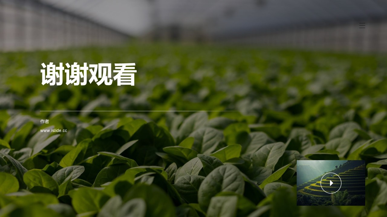 农业生产培训课件PPT主题