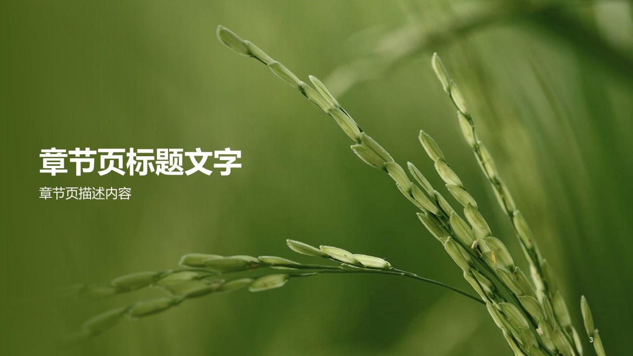 绿色商务公益环保课件PPT主题