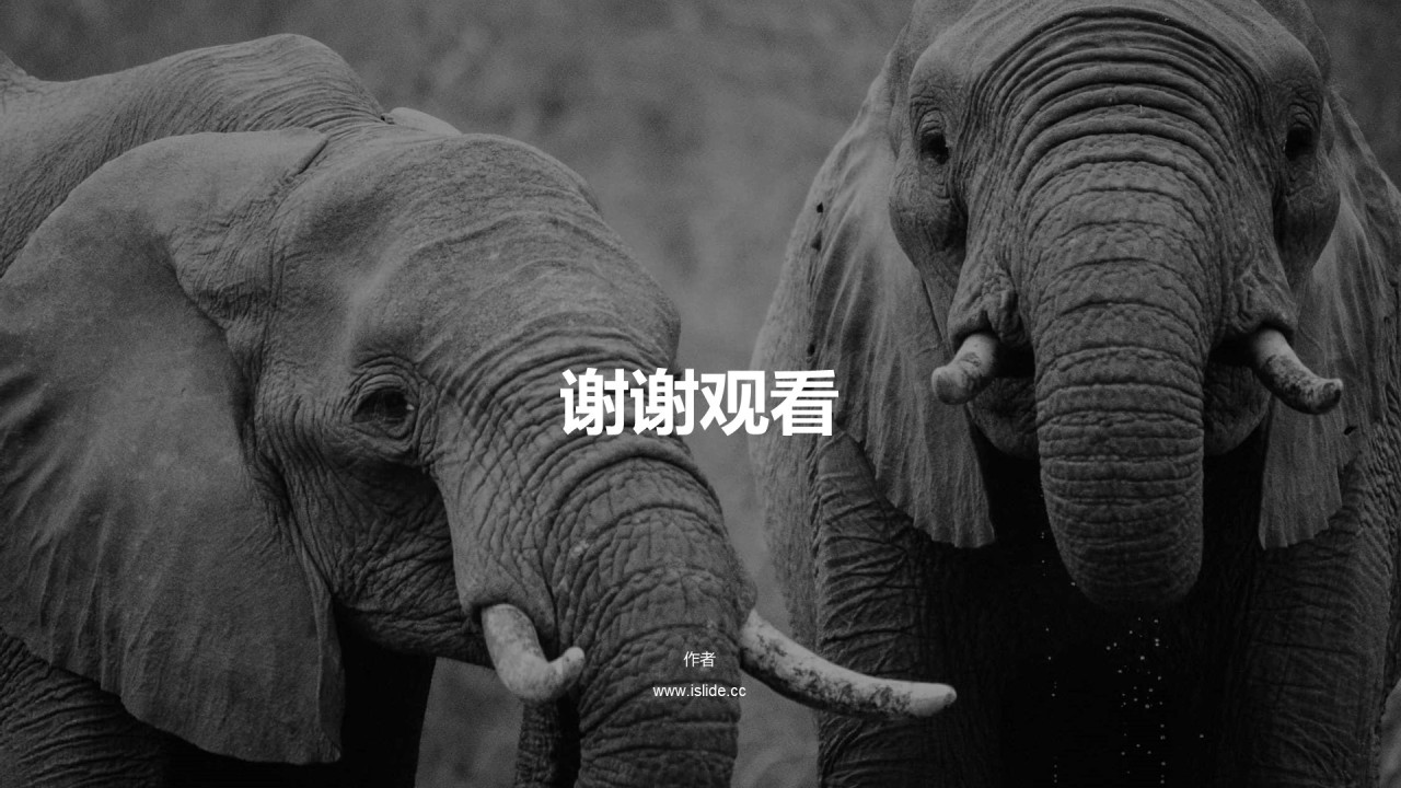 黄色商务培训课件PPT主题