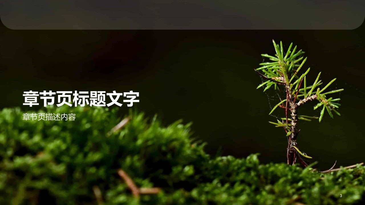 绿色简约大自然环保PPT模板