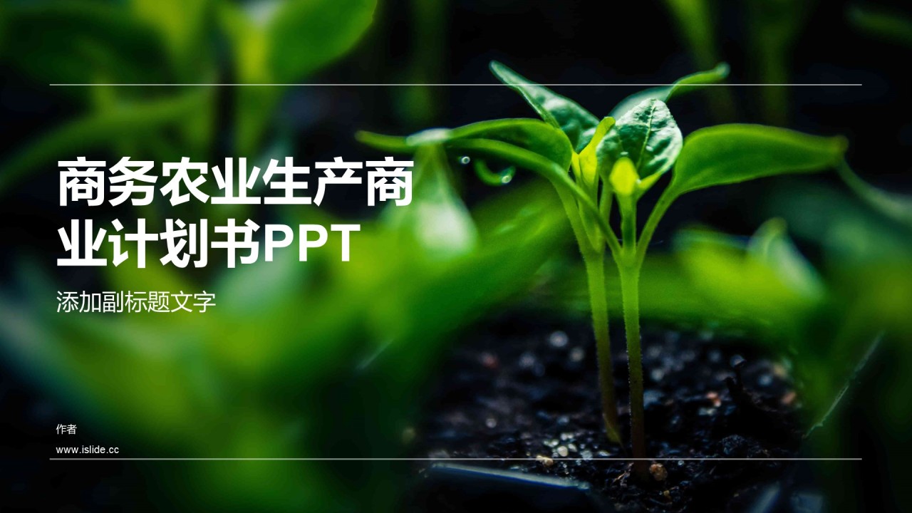 商务农业生产商业计划书PPT