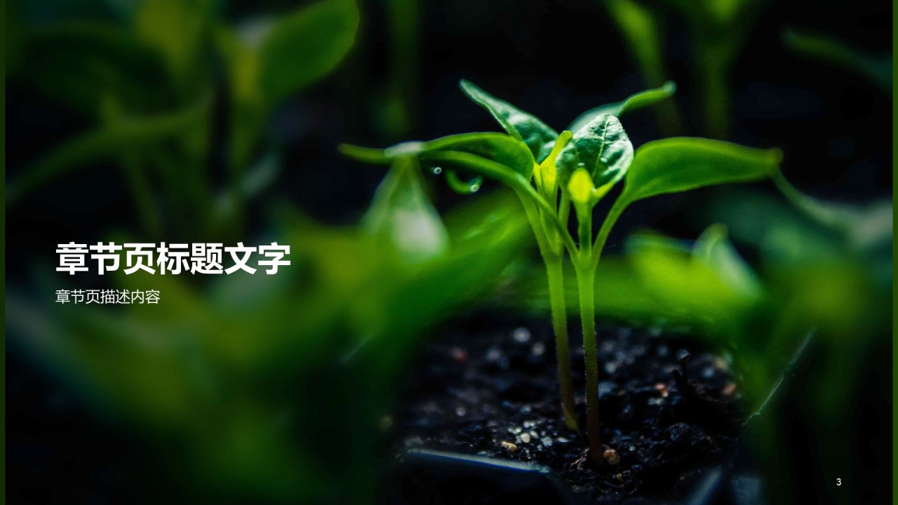 商务农业生产商业计划书PPT