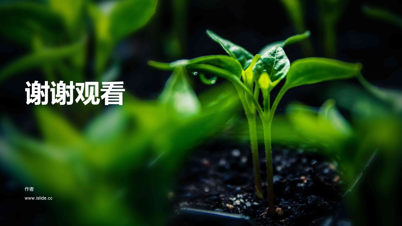 商务农业生产商业计划书PPT