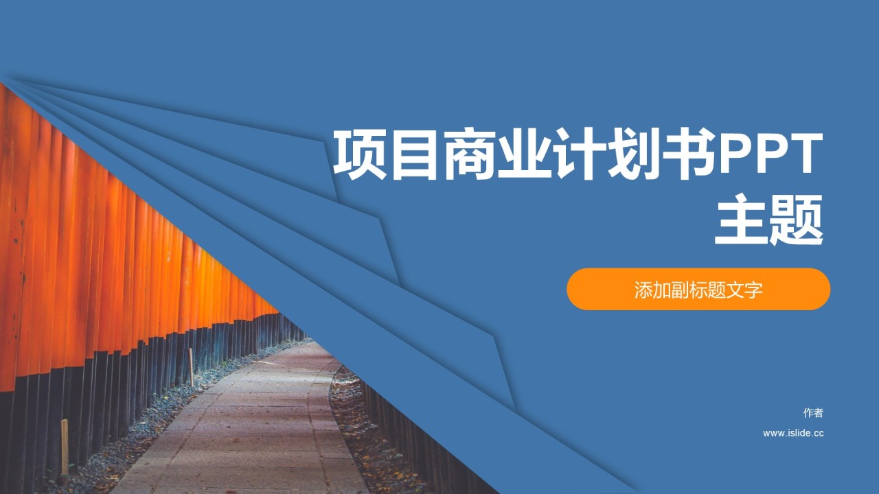 项目商业计划书PPT