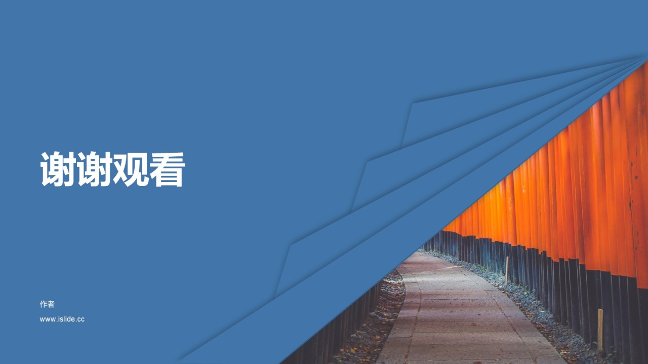 项目商业计划书PPT