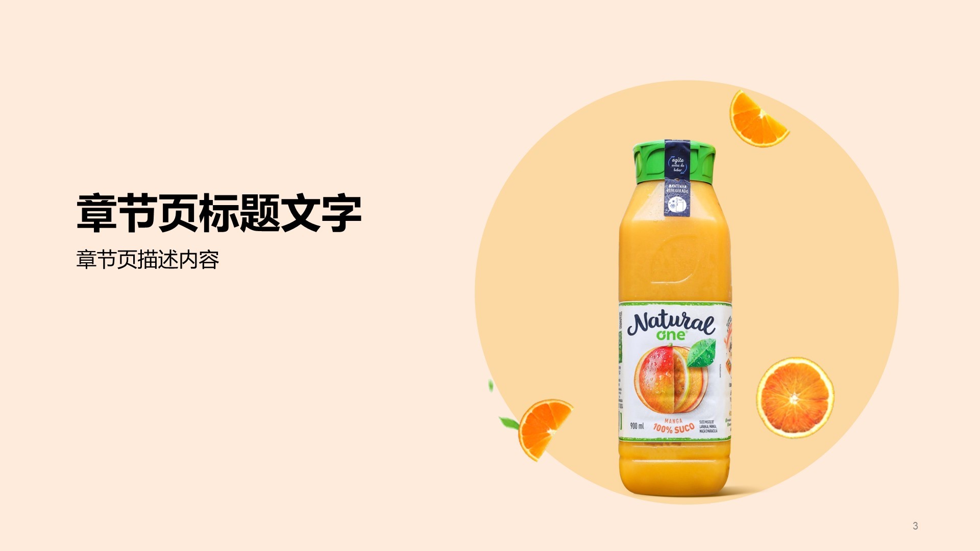 食品饮料快消品零售营销推广计划PPT