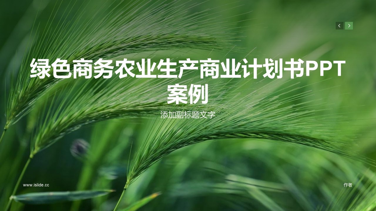 绿色商务农业生产商业计划书PPT案例