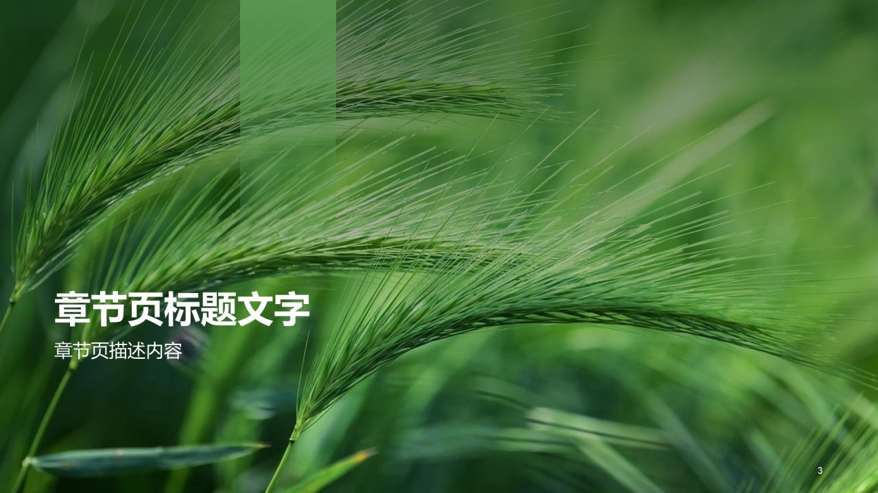 绿色商务农业生产商业计划书PPT案例
