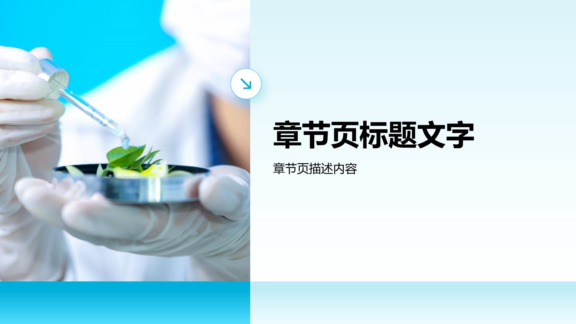 医学与生命科学研究答辩PPT主题