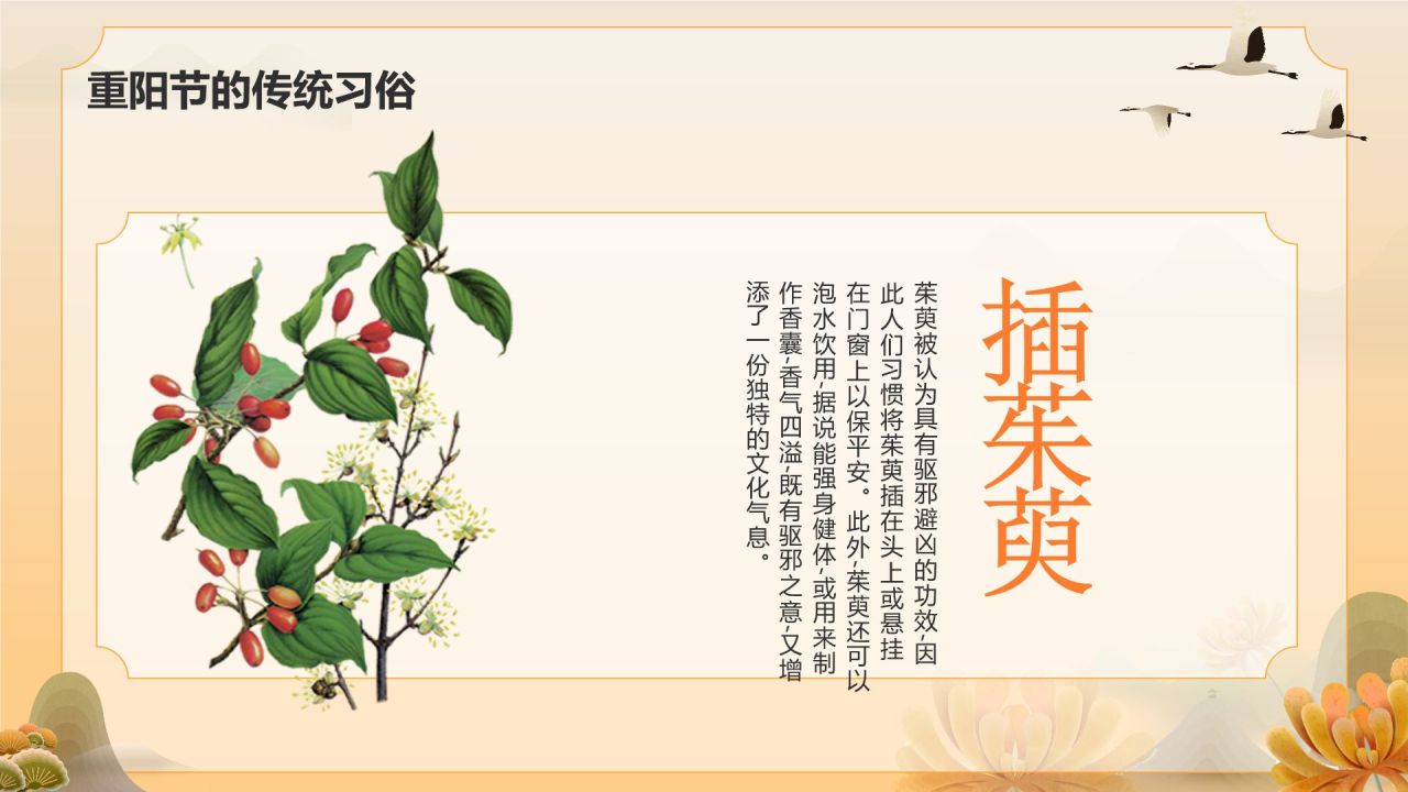 橙色手绘风重阳节 孝亲敬老 从我做起PPT模板