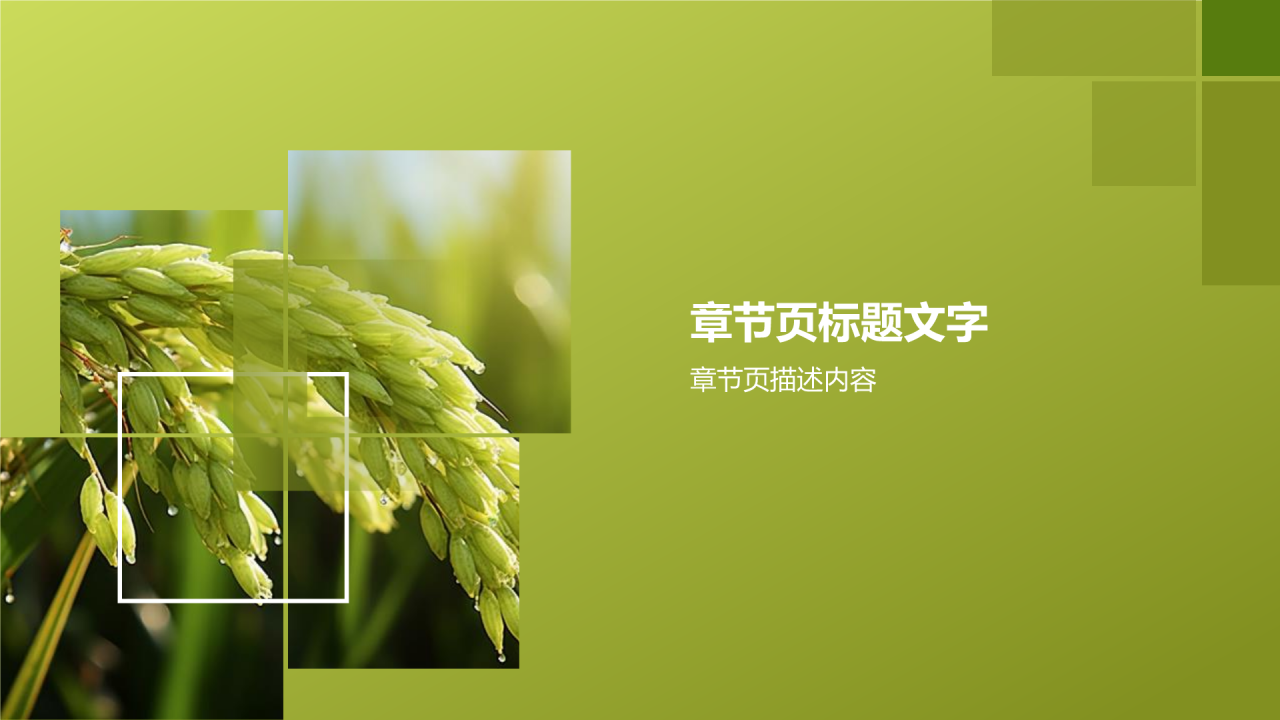 农业产业融合发展PPT