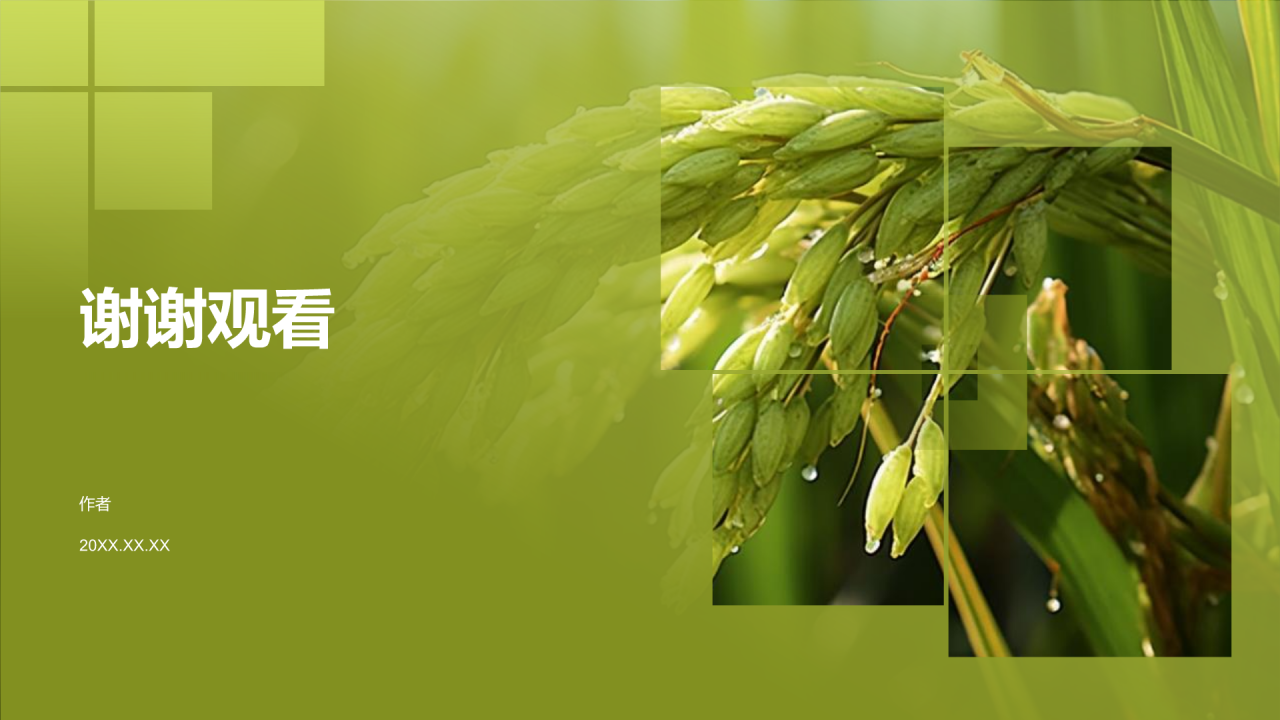 农业产业融合发展PPT