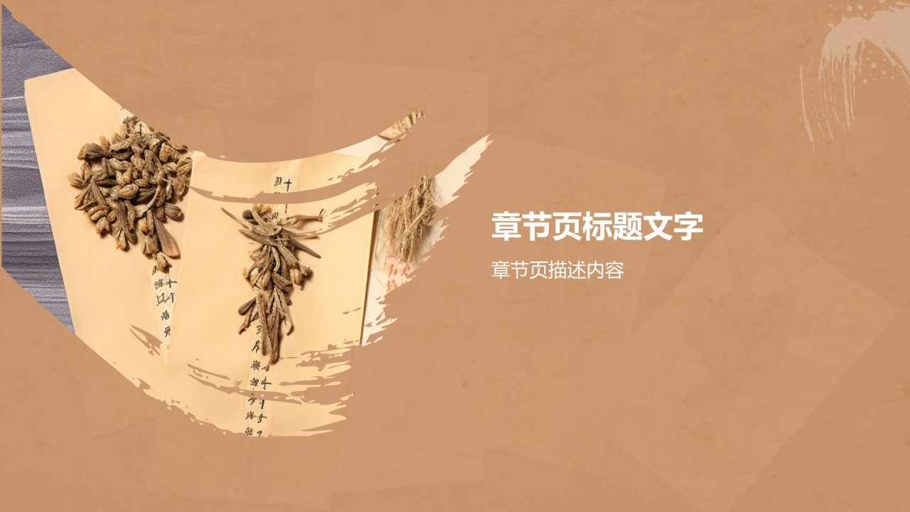 中医养生基础理论介绍PPT主题