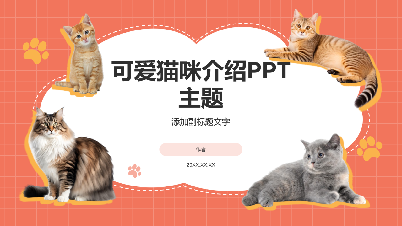 可爱猫咪介绍PPT主题