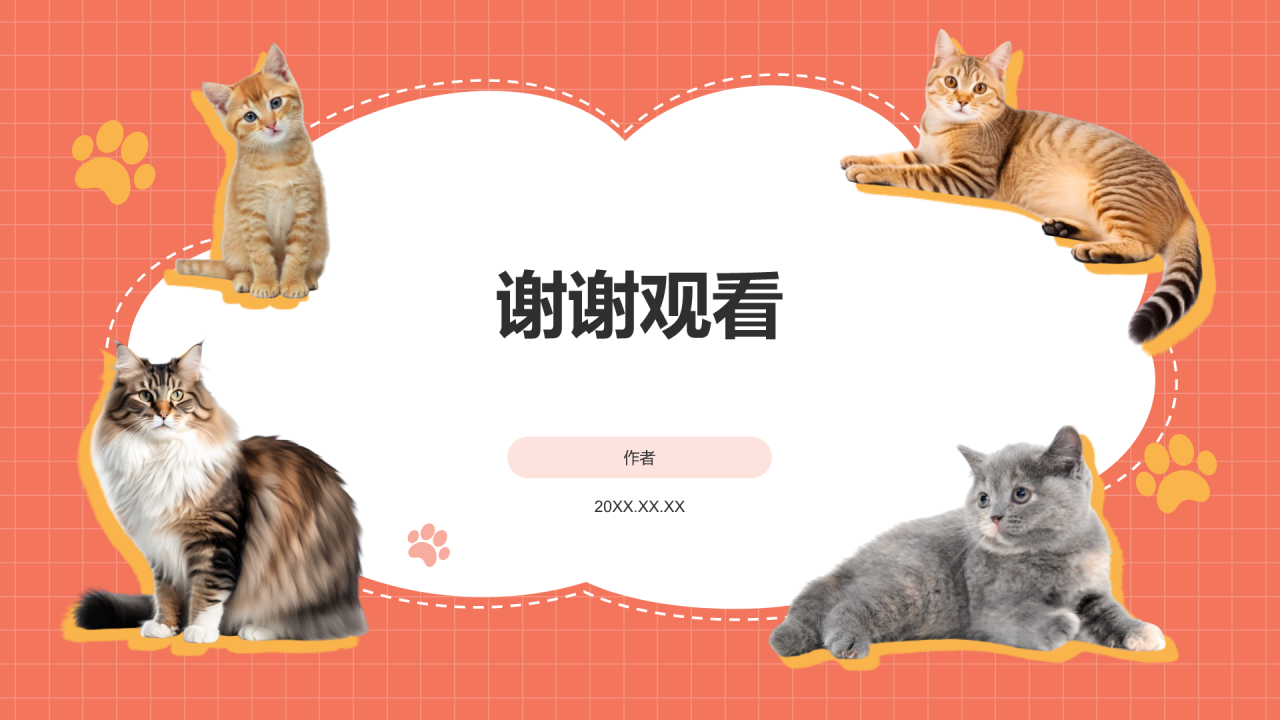 可爱猫咪介绍PPT主题