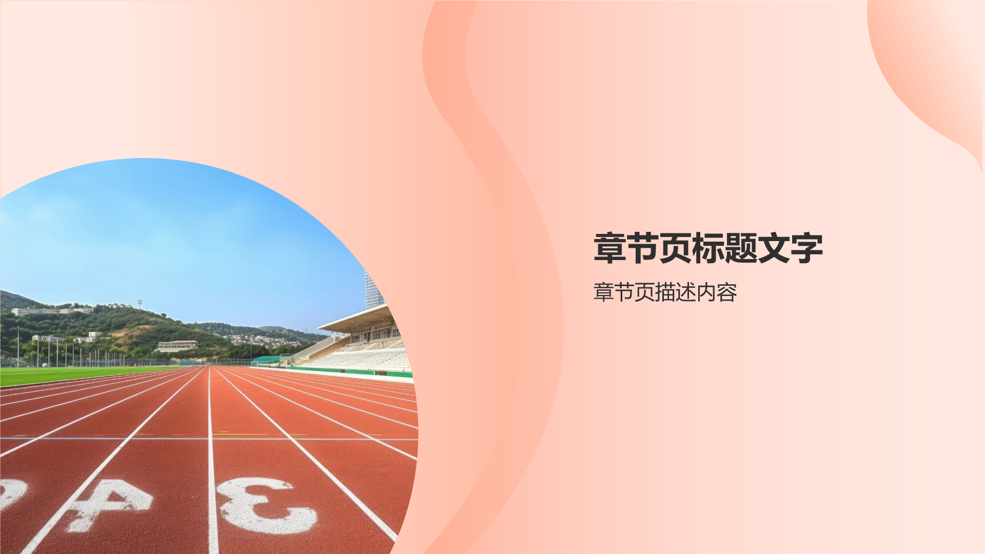 体育赛事策划专家