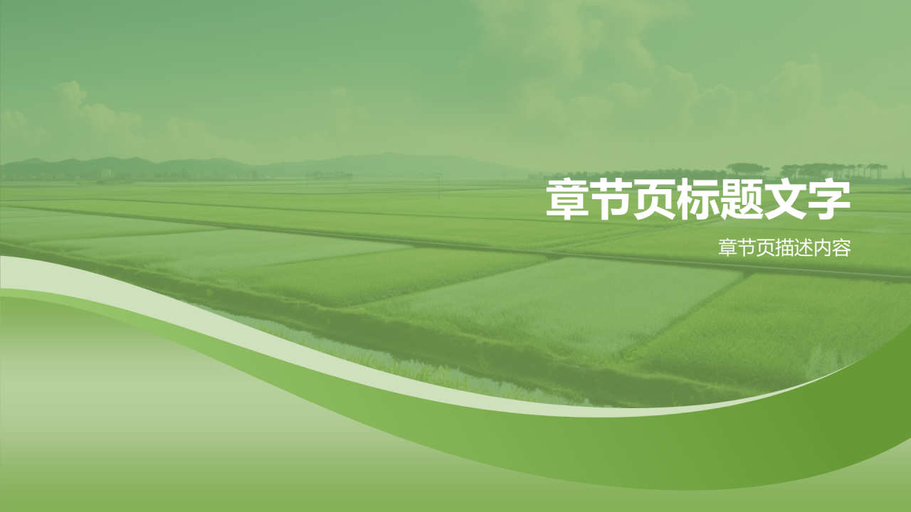 农村土地制度改革与实践