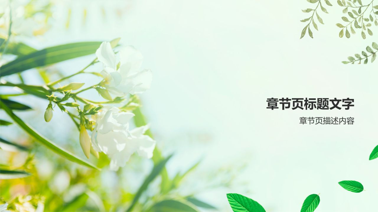 班主任经验交流PPT主题