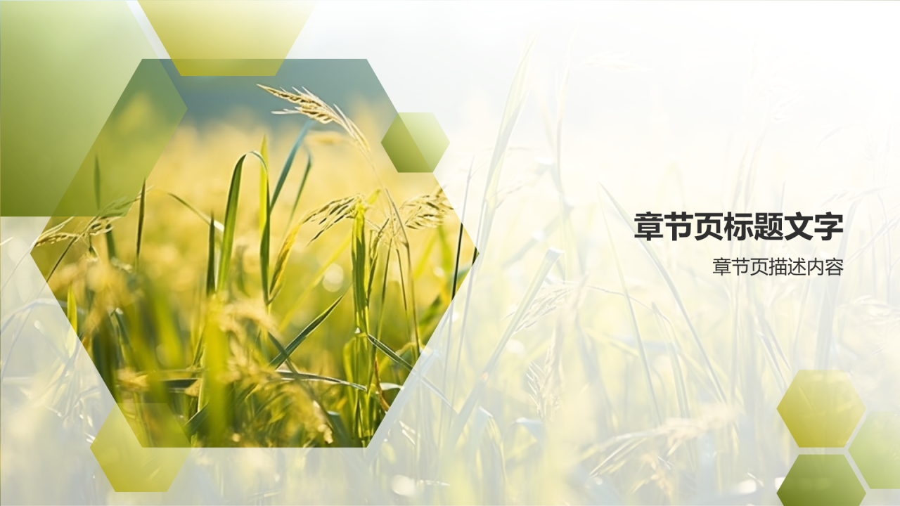 农业产业链延伸