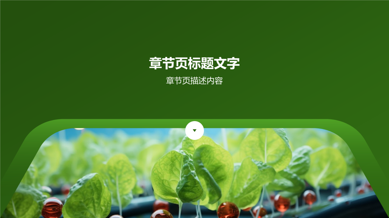 农业生态环境保护