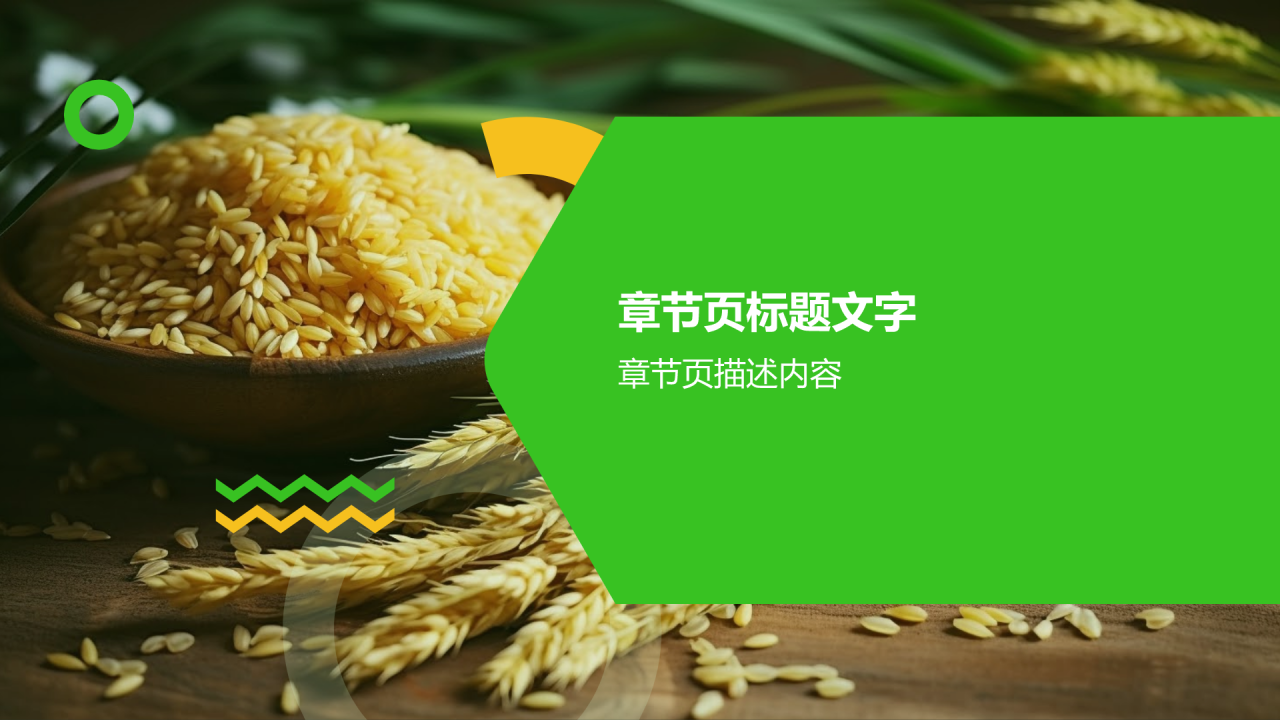 绿色简约风节约粮食PPT
