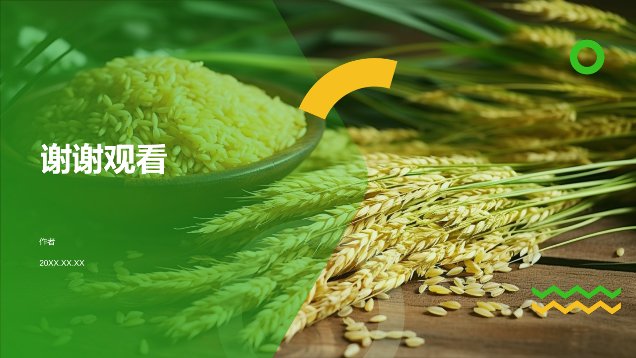绿色简约风节约粮食PPT