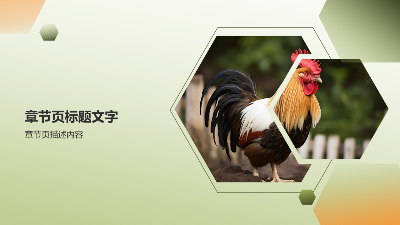 绿色生态养殖PPT主题