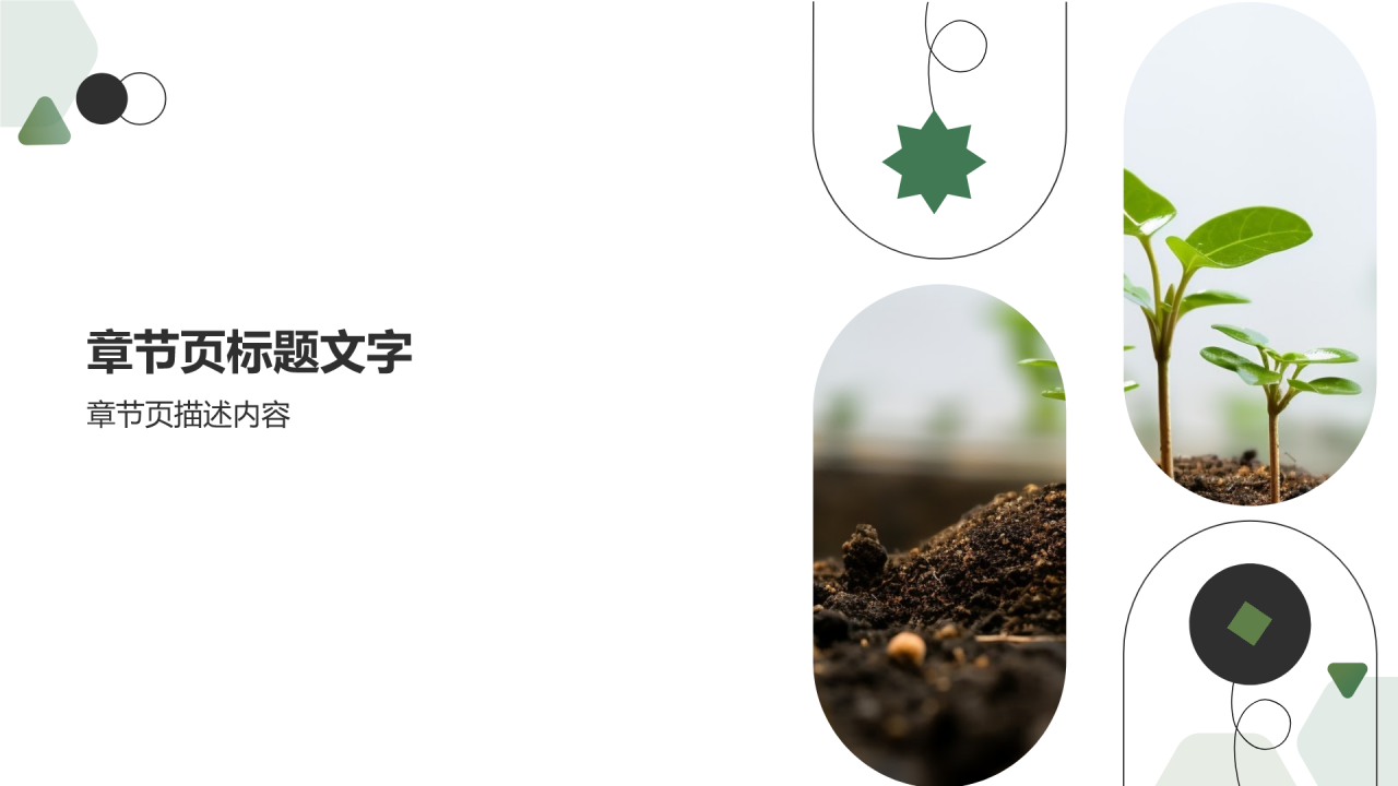 绿色心愿