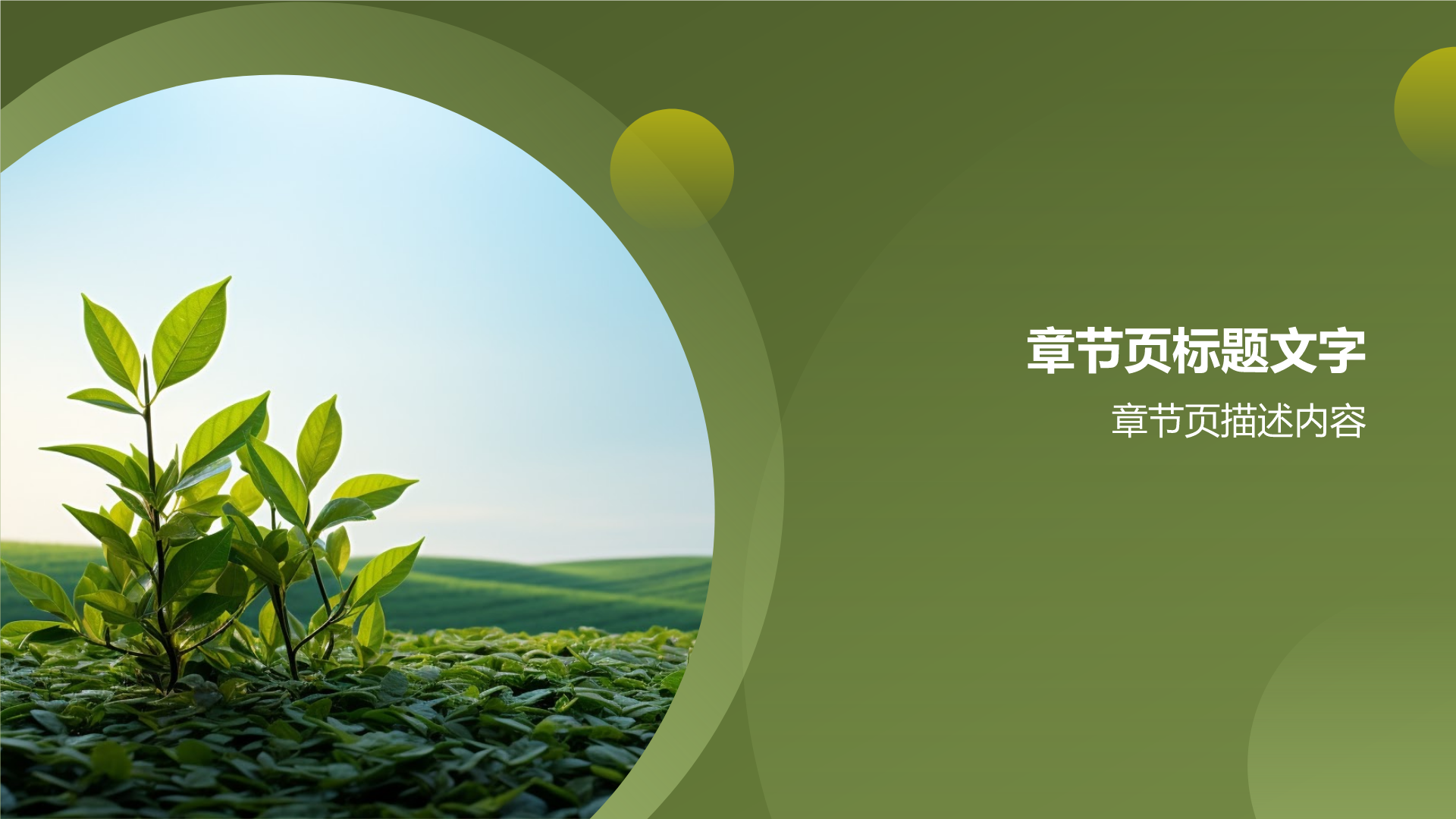 绿色摄影风农业通用PPT主题