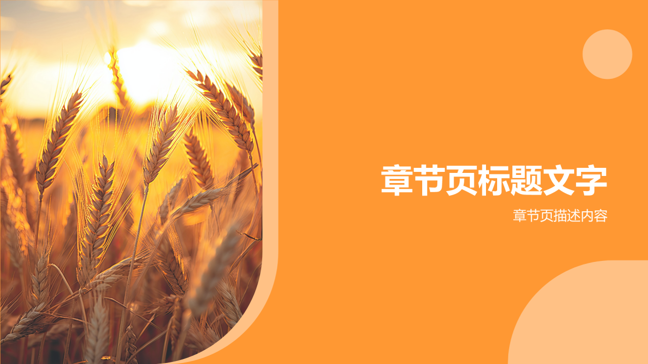 橙色商务风节约粮食PPT主题