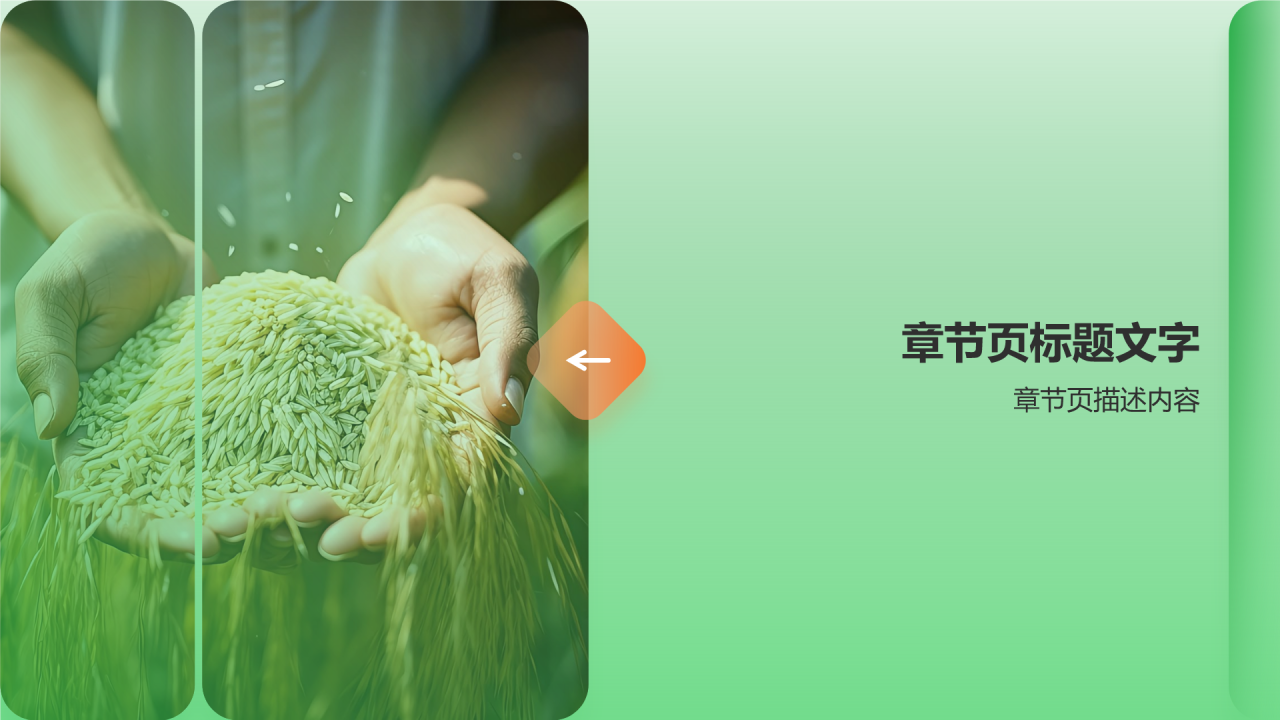 绿色摄影风节约粮食PPT