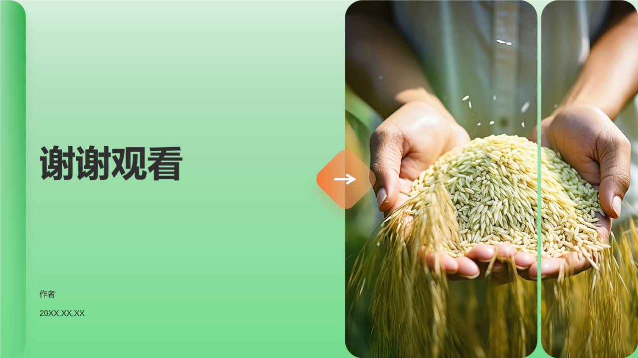 绿色摄影风节约粮食PPT