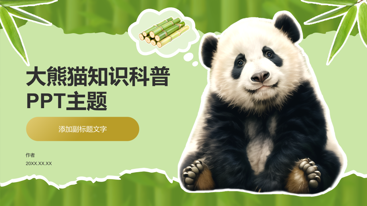 大熊猫知识科普PPT主题