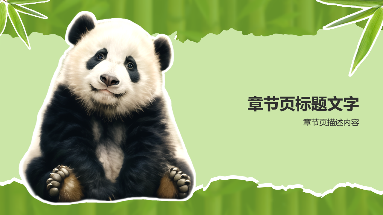 大熊猫知识科普PPT主题