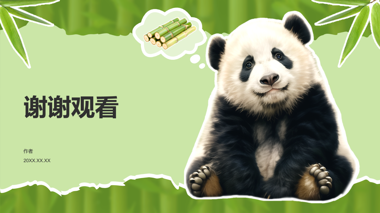 大熊猫知识科普PPT主题