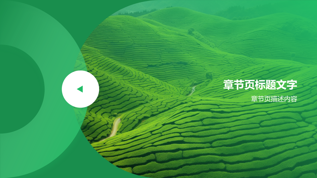 绿色摄影风节约粮食PPT