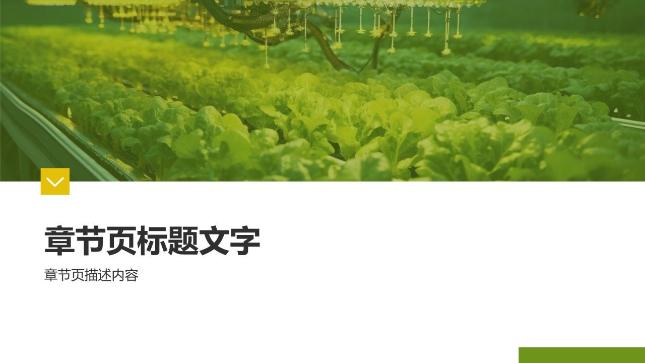 农业智能化发展