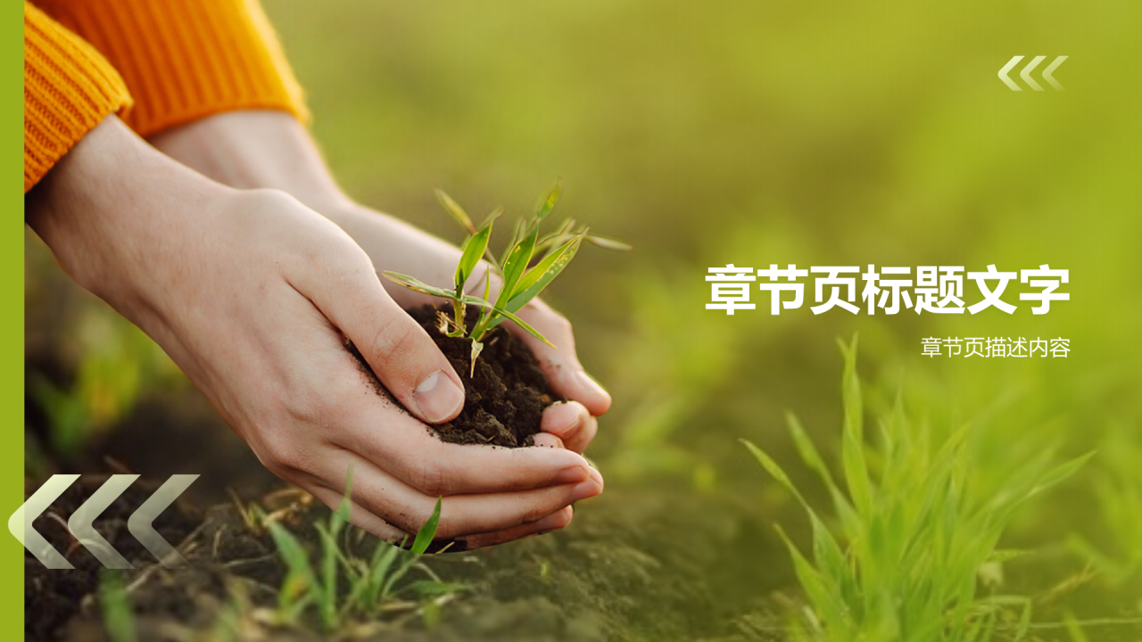 扶贫商业计划书PPT主题