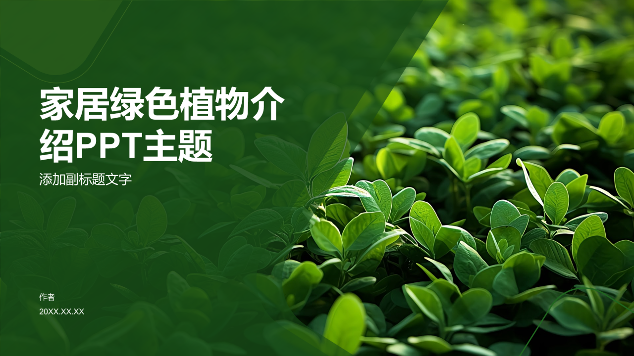 家居绿色植物介绍PPT主题