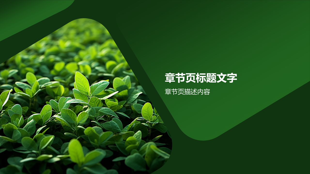 家居绿色植物介绍PPT主题