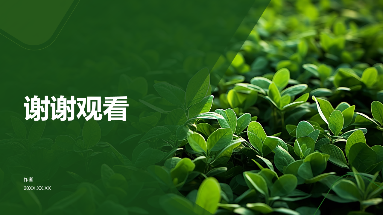 家居绿色植物介绍PPT主题