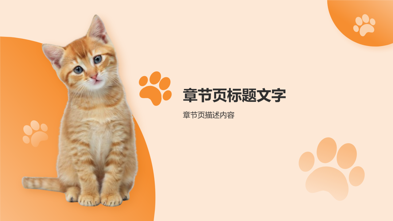 可爱猫咪介绍
PPT主题