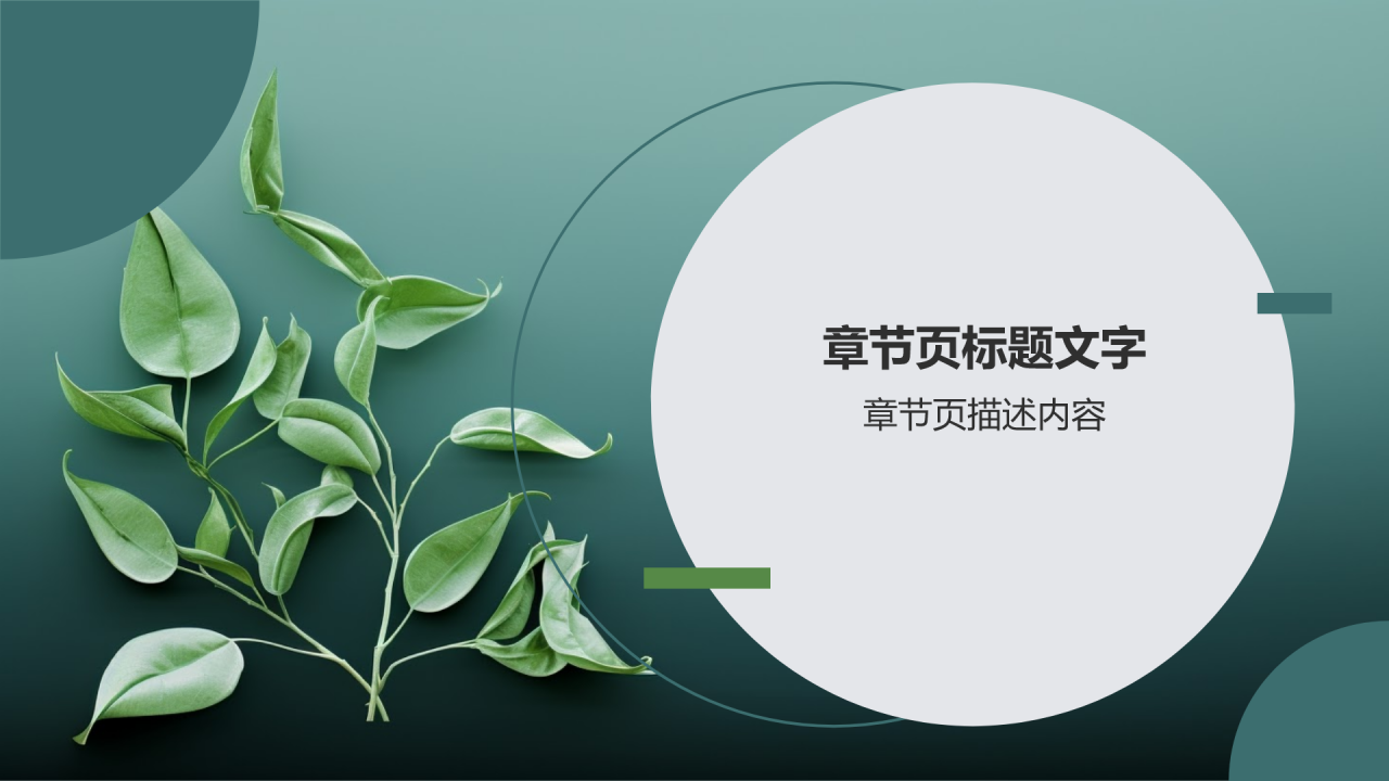环保教育进校园