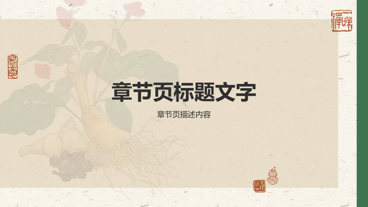 非遗文化介绍——藏医药PPT