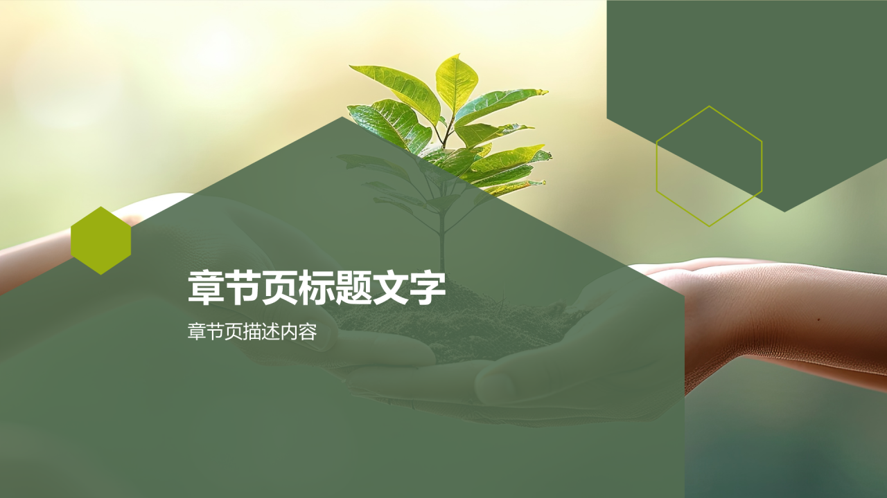 生态养殖新模式