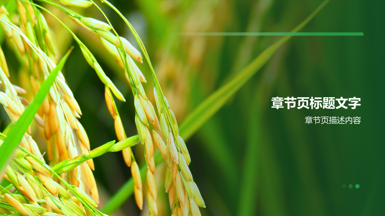 绿色商务风绿色兴农PPT主题
