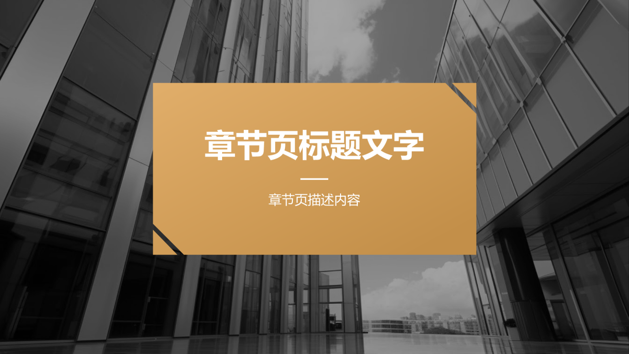 黑金风公司介绍PPT主题
