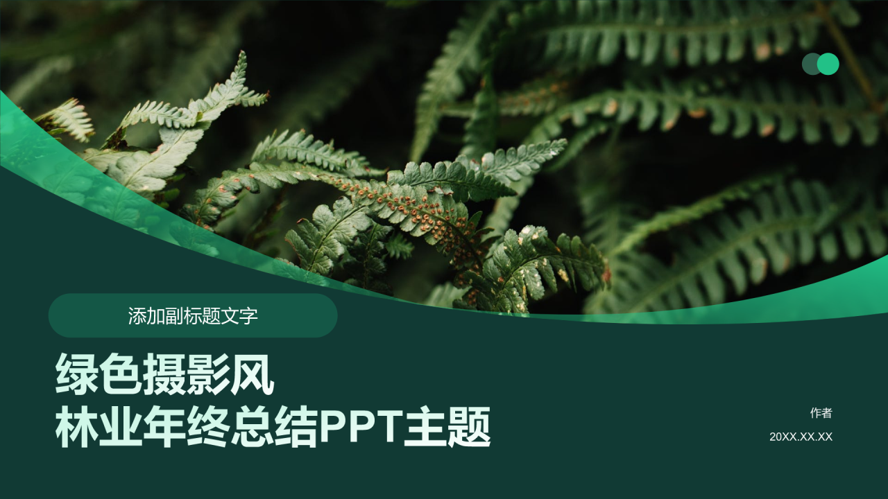绿色摄影风林业年终总结PPT主题