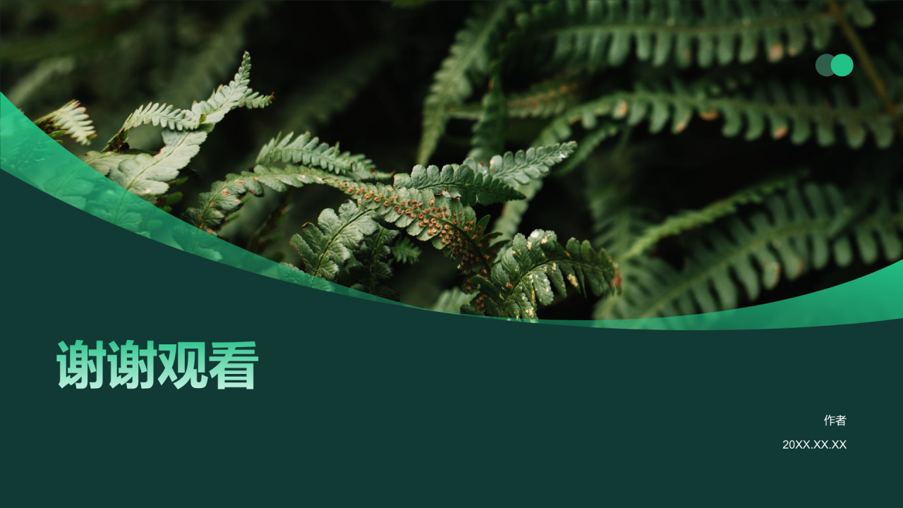 绿色摄影风林业年终总结PPT主题