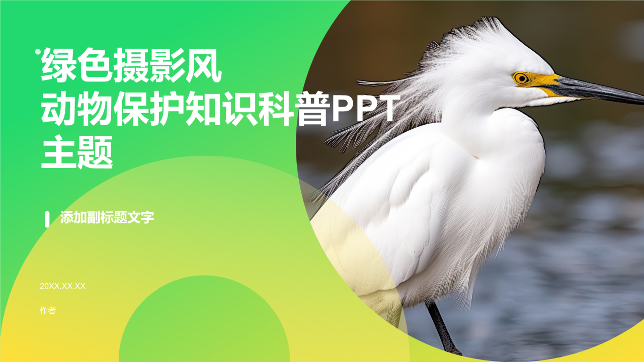 绿色摄影风动物保护知识科普PPT